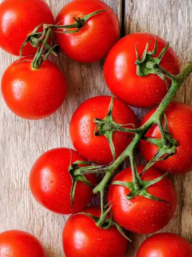 HERE ARE THE TOP 10 BENEFITS OF TOMATOES.